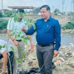 हरेला पर मुख्यमंत्री धामी के विजन को एमडीडीए ने धरातल पर उतारा, शहर में किया गया वृहद पौधरोपण